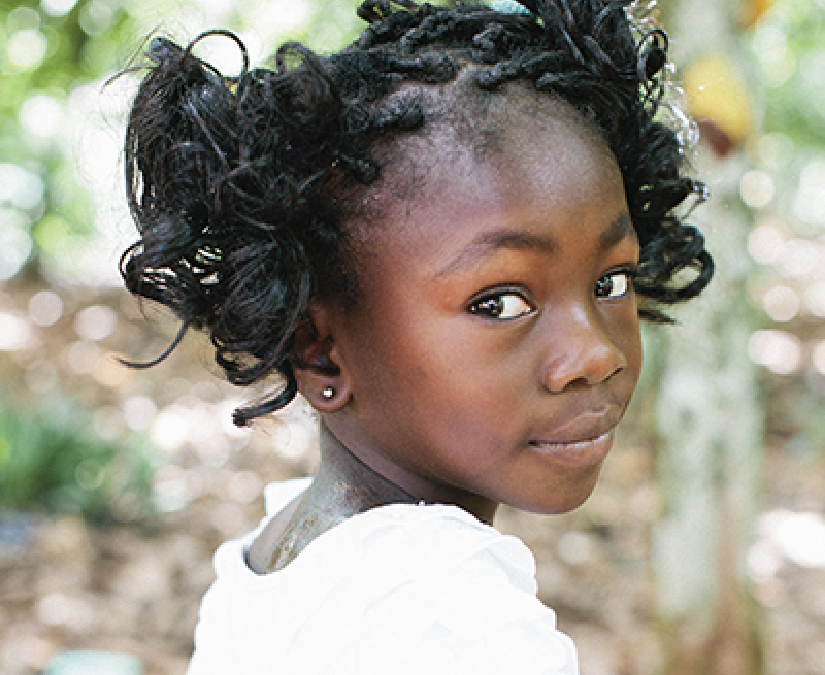 Erica, Ghana